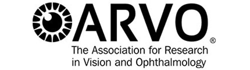 ARVO3.jpg