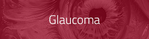 Glaucoma Insights - Part 2
